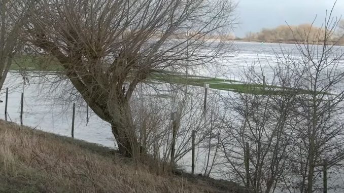 Waal rivier