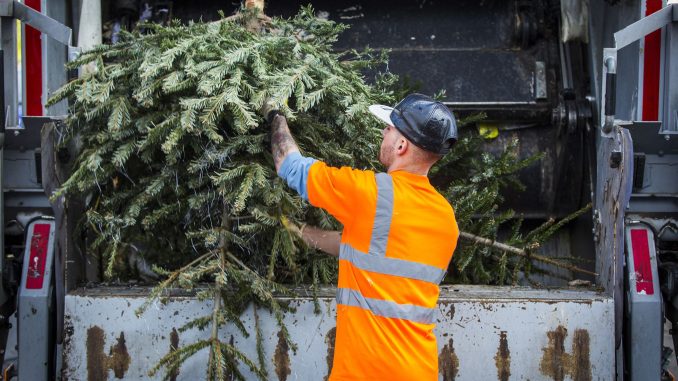 kerstboom_inleveren